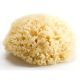 Bellini Natural Sea Sponge Honeycomb Medium n12