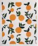 Ten and Co. Citrus Orange Sponge Cloth
