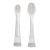 Bbluv Sonik Replacement Brush Heads 2 Pack - Infant