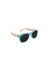Roshambo 成人超輕耐掰太陽眼鏡 (L/XL/青色 & 珊瑚色)
