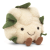 Jellycat Amuseables Cauliflower