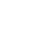 NOVA Probiotics 