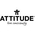 Attitude