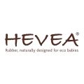 Hevea